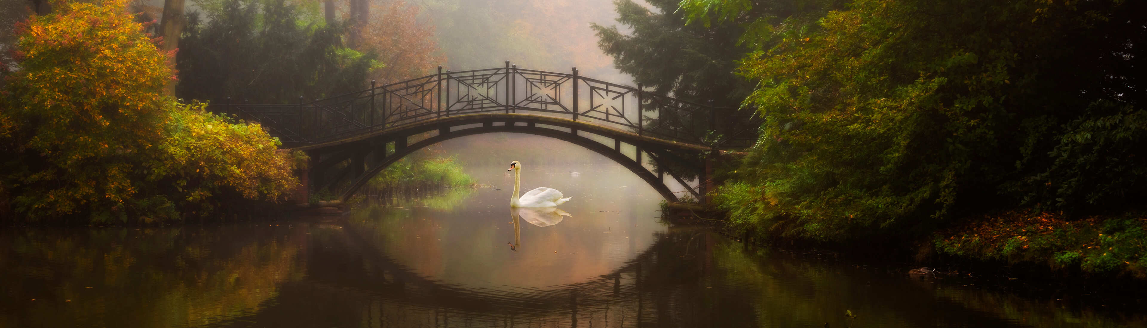 A bridge over a river in the country side